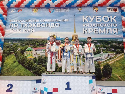 Ивановские тхэквондисты завоевали три золота на «Кубке Рязанского Кремля»